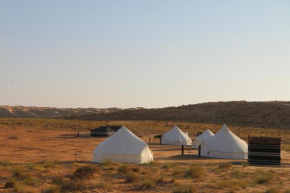 Stargaze Camp